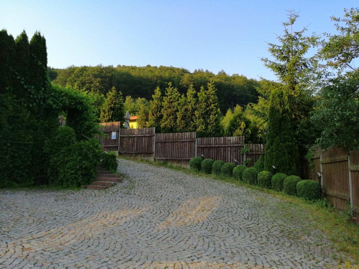 Zielone Wzgorze Hostel Walbrzych Exterior photo